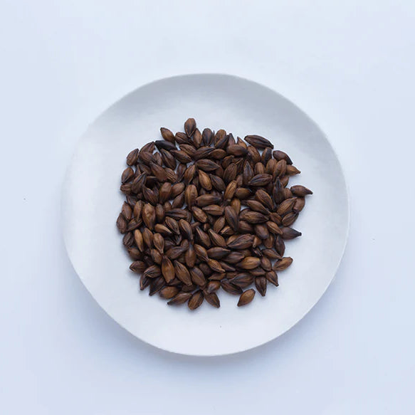 thé barley mugicha orge ippodo japonais 