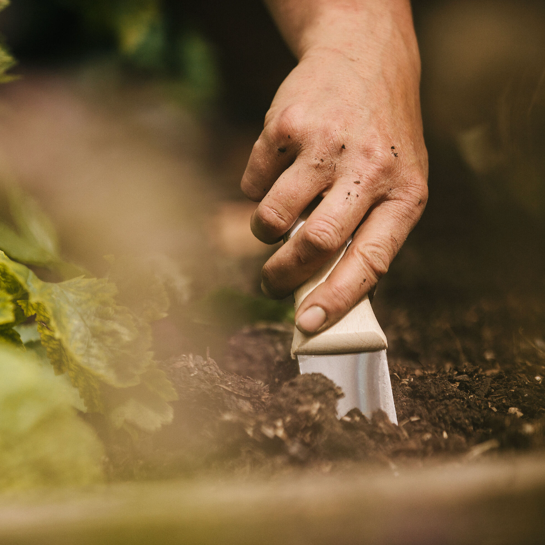 Gardening tool "Hori hori"