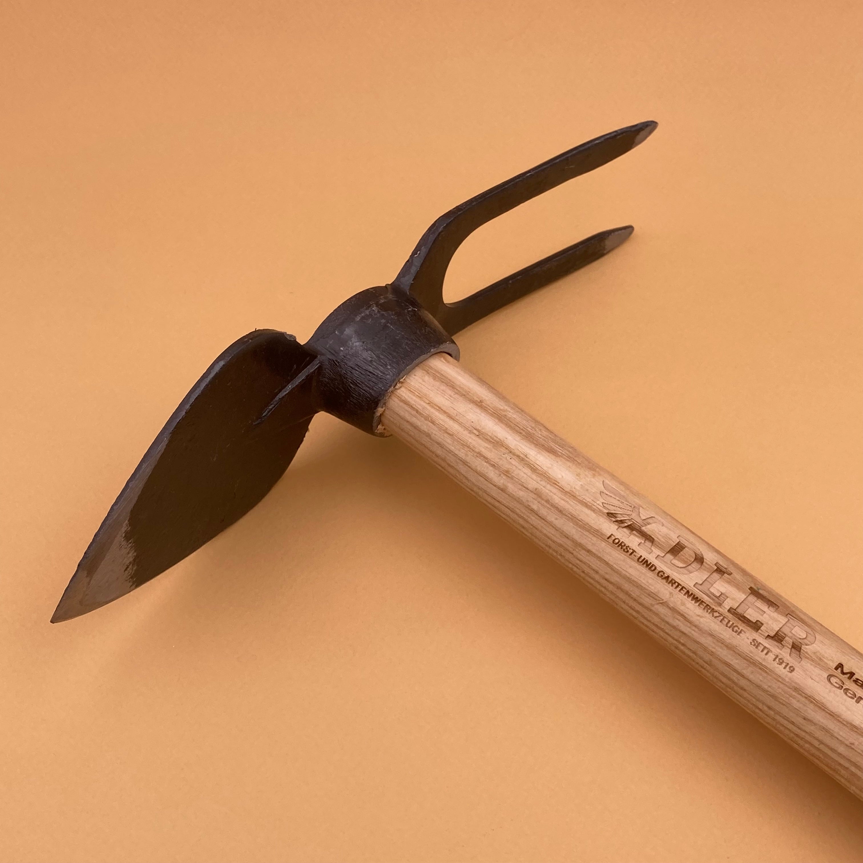 Serfouette “Daisy”