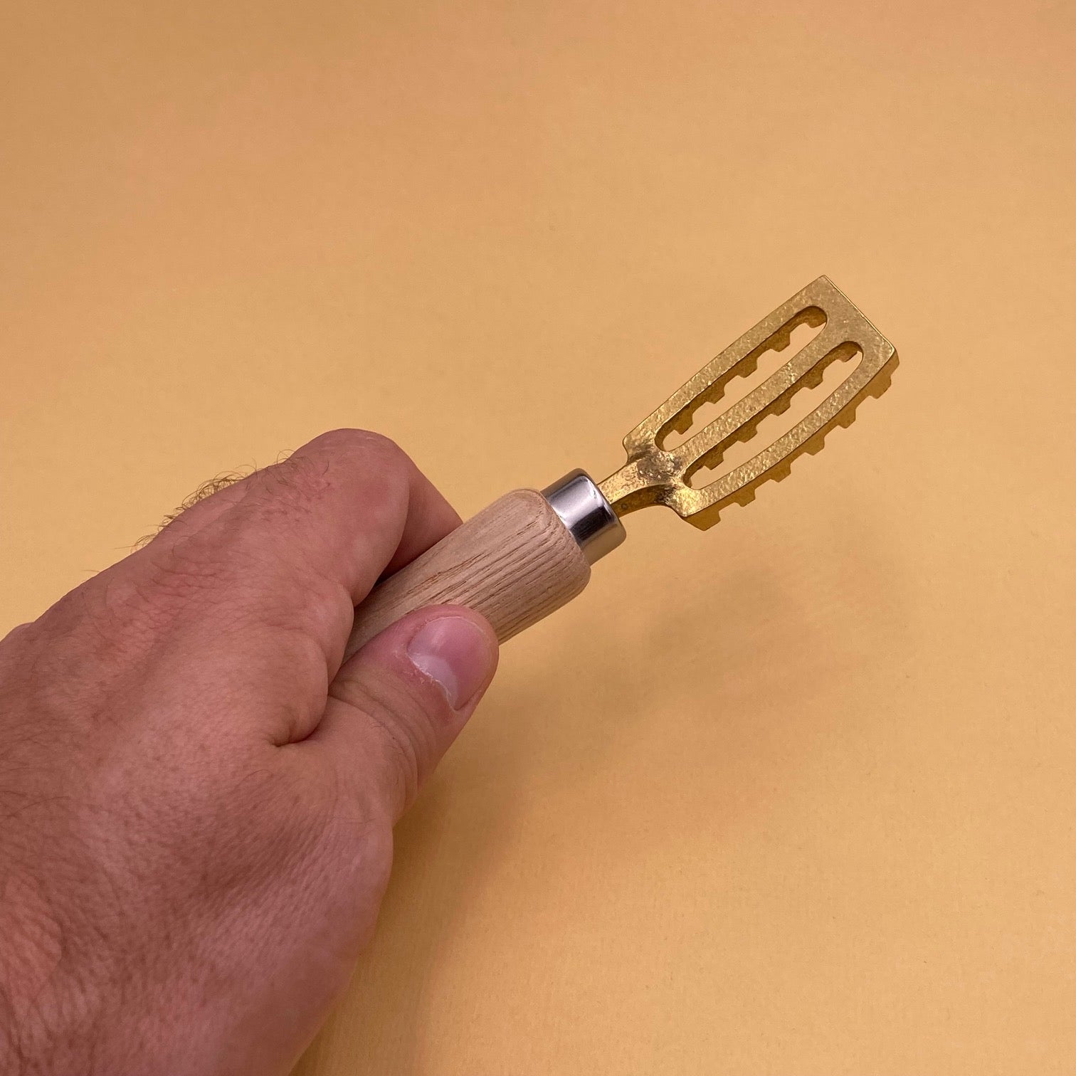 Fish scaler