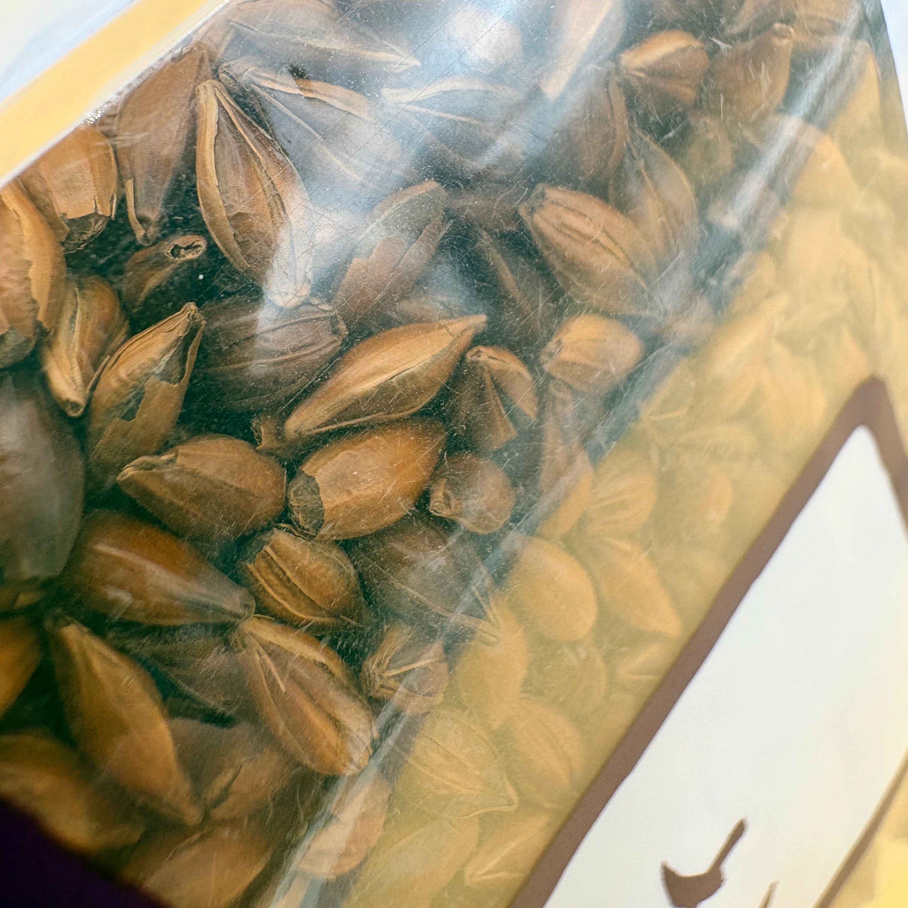 Loose leaf tea "Mugicha"