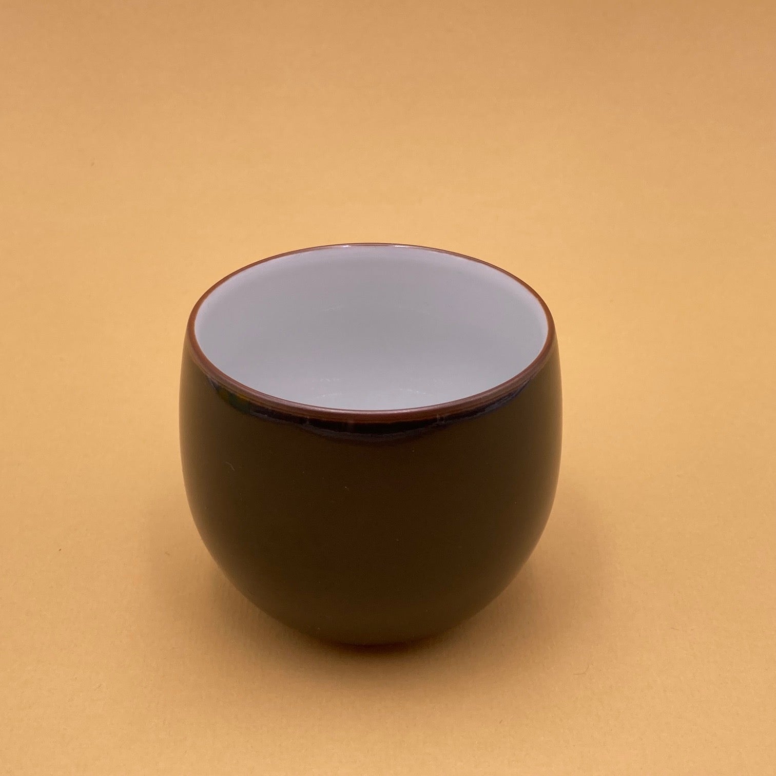 Handmade Shigaraki teapot