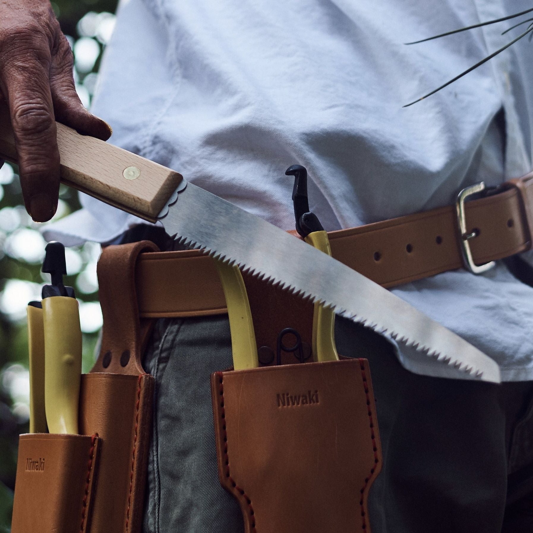 scie élagage japonaise niwaki