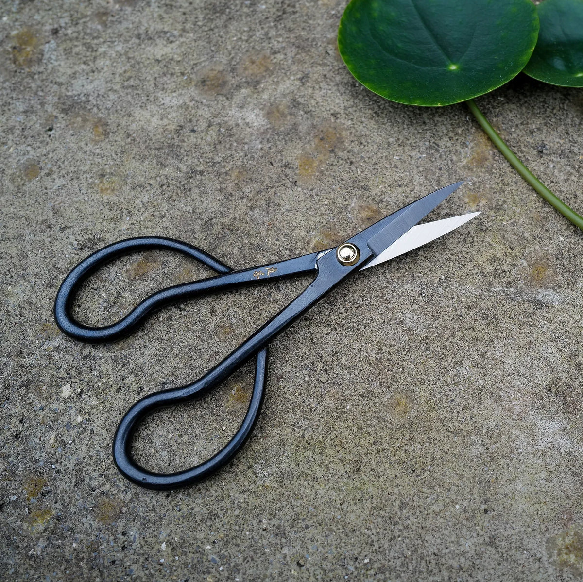 ciseaux jardinier japonais japon secateurs bonsaï niwaki