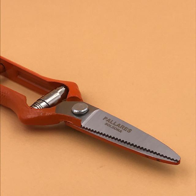 Sécateurs de vendange - UTILE & ORDINAIRE